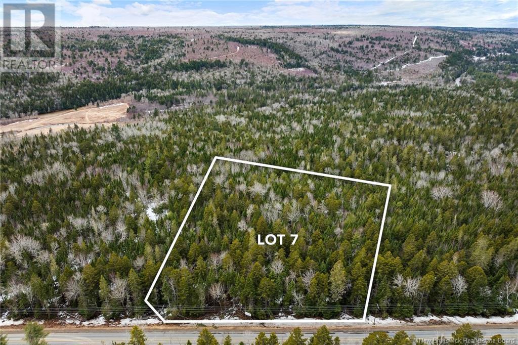 Photo of Listing #NB116475