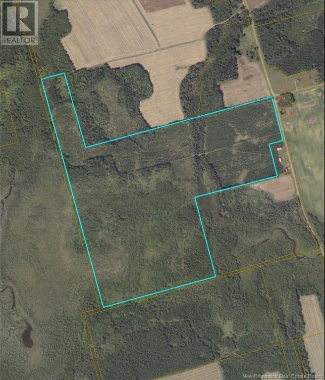 Photo of Listing #NB116564