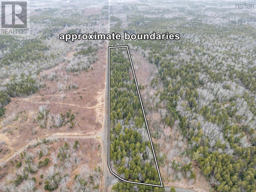 Lot Grosses Coque Road, Grosses Coques