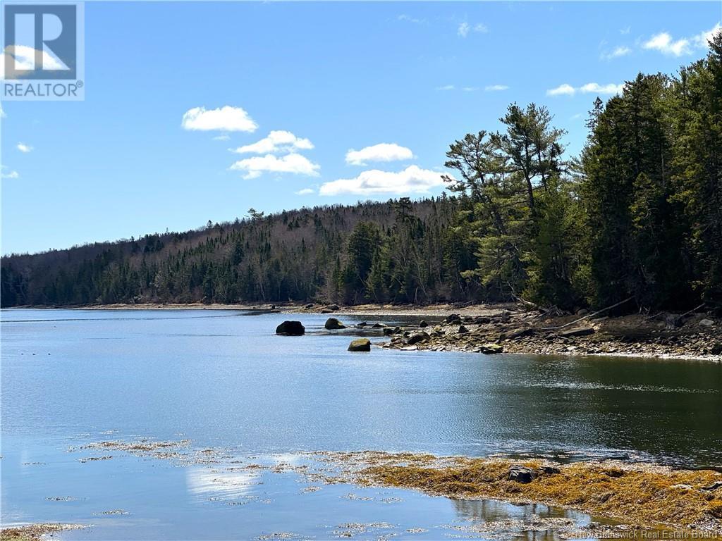 Photo of Listing #NB116367