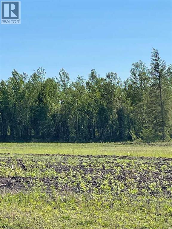 Lots 5 & 6, Rural Mackenzie County