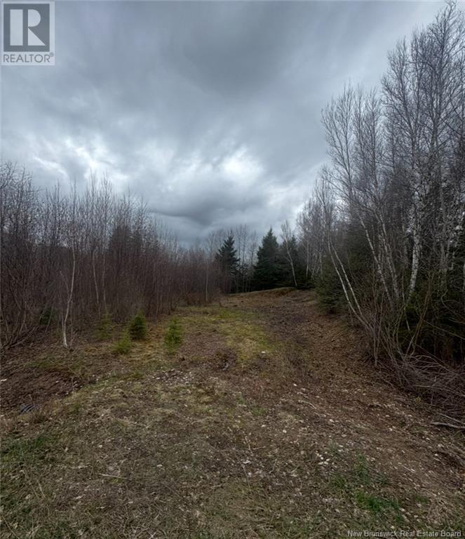 Photo of Listing #NB117105