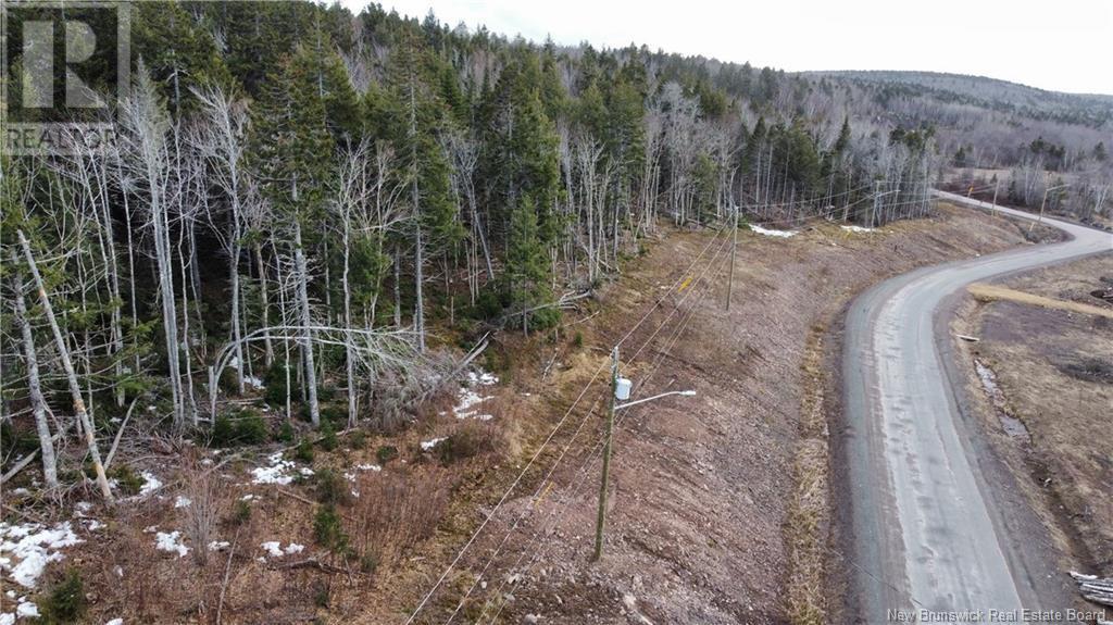 Photo of Listing #NB117266