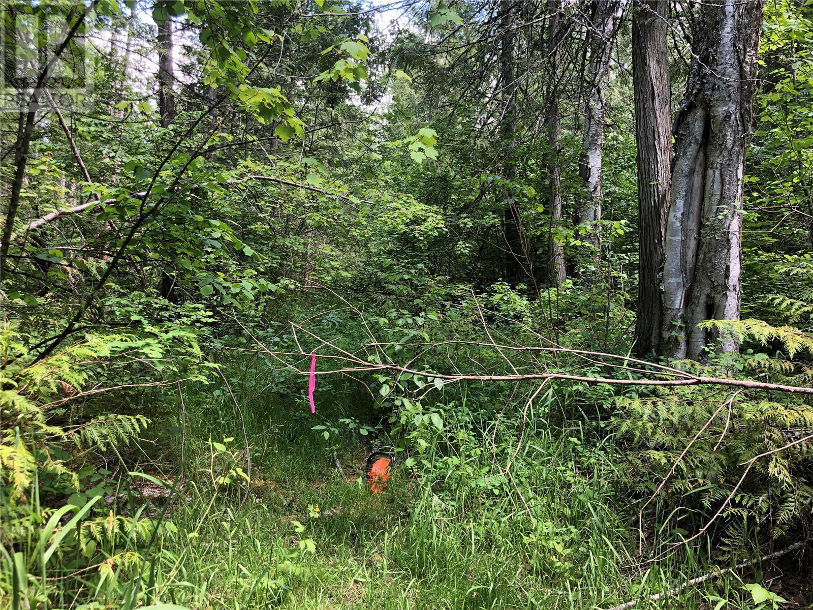 50 Valecairn Road. Enderby, British Columbia