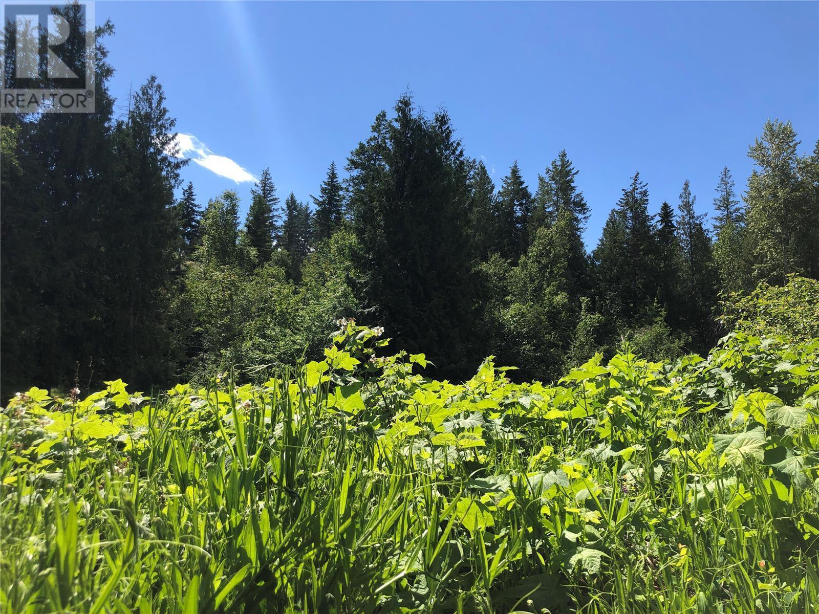 50 Valecairn Road. Enderby, British Columbia