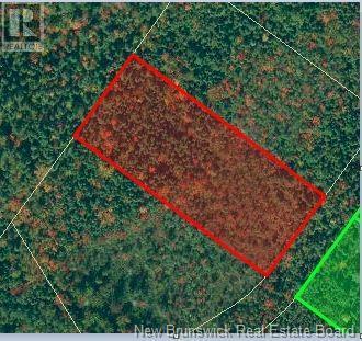 Photo of Listing #NB116422