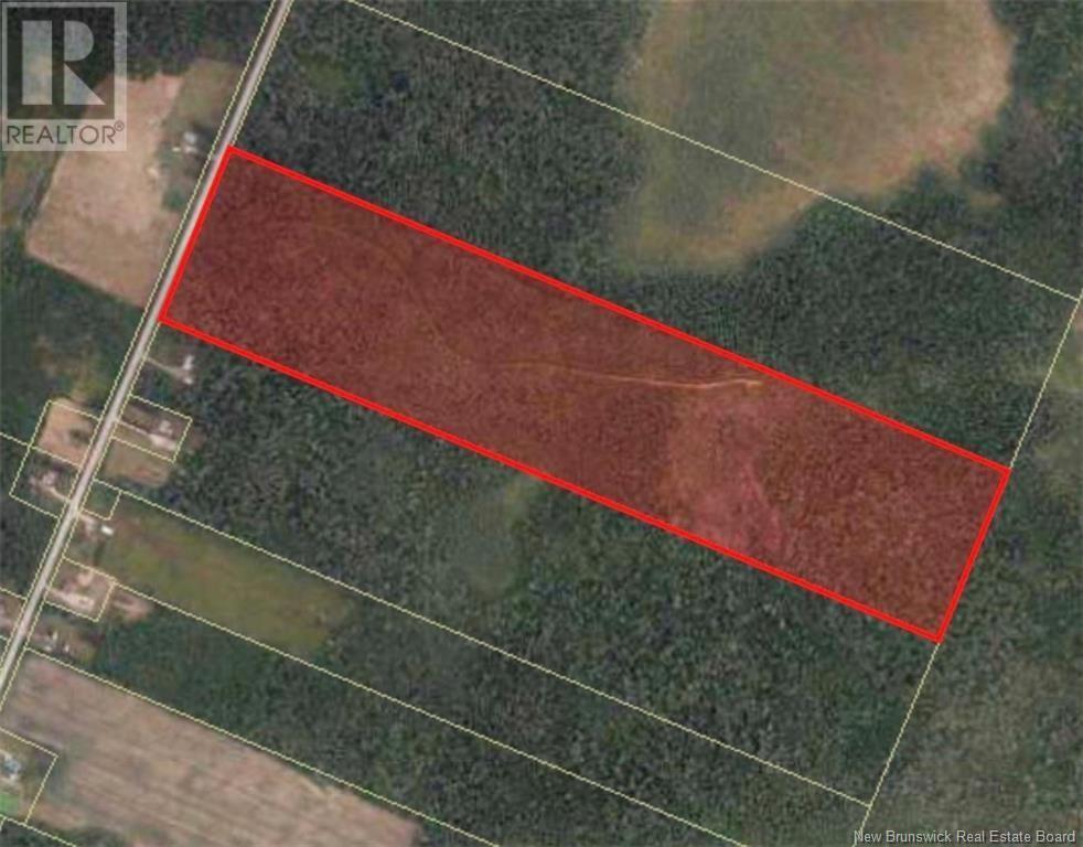 Photo of Listing #NB116122