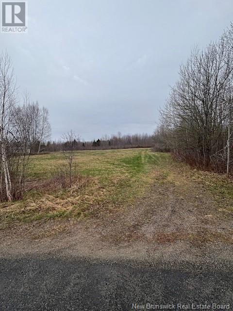 Photo of Listing #NB117621