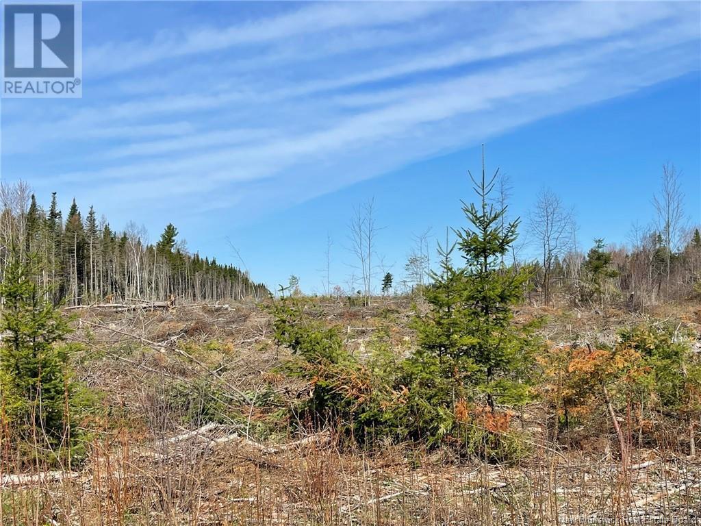 Photo of Listing #NB117586