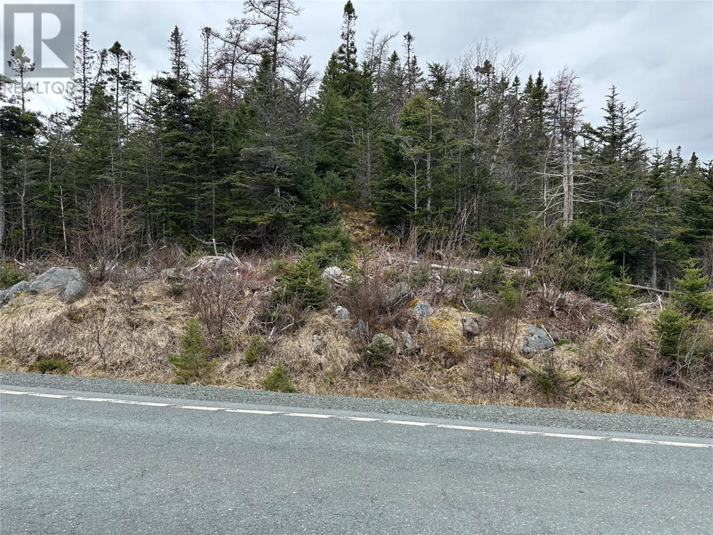 106 Liam Hickey Drive, Holyrood