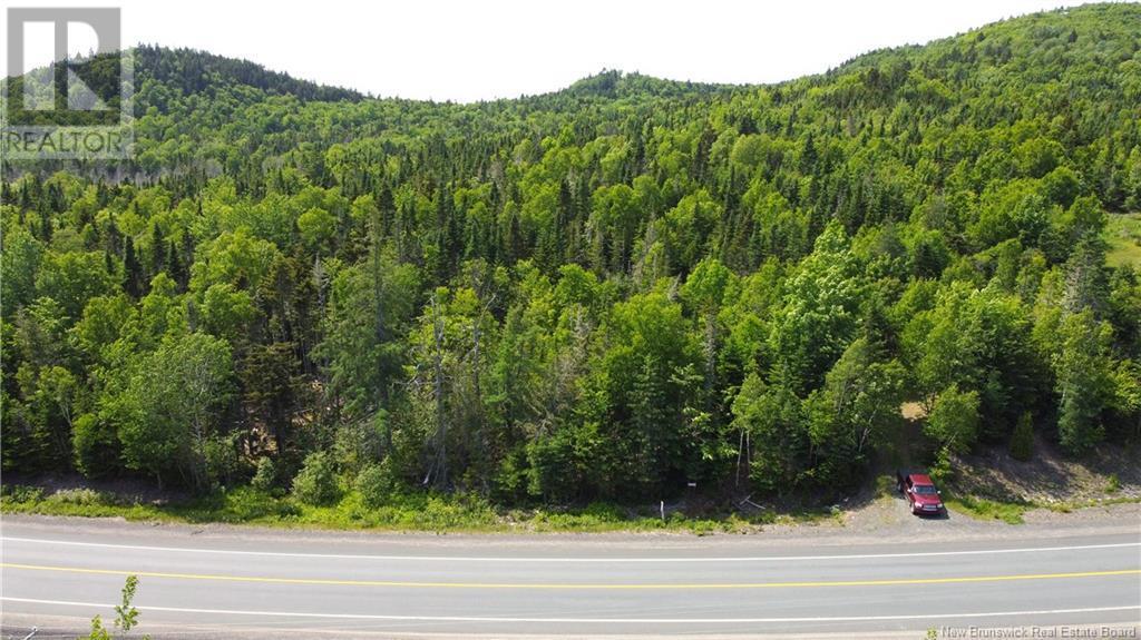 Photo of Listing #NB117580