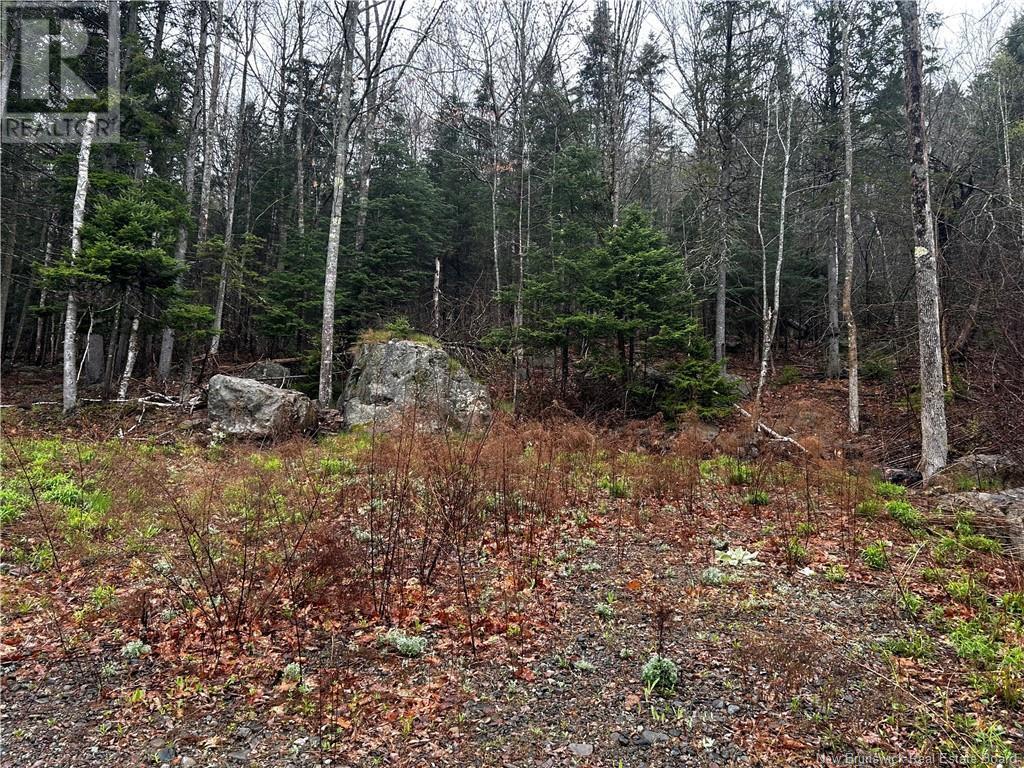 Photo of Listing #NB117993