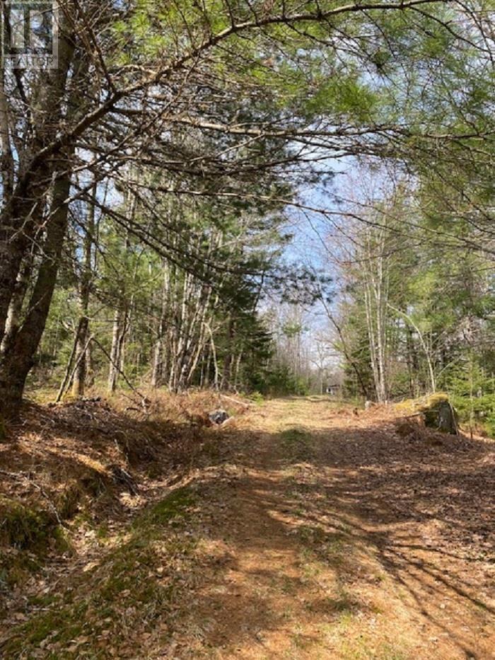 1539 Old Liverpool Road, The Halfway