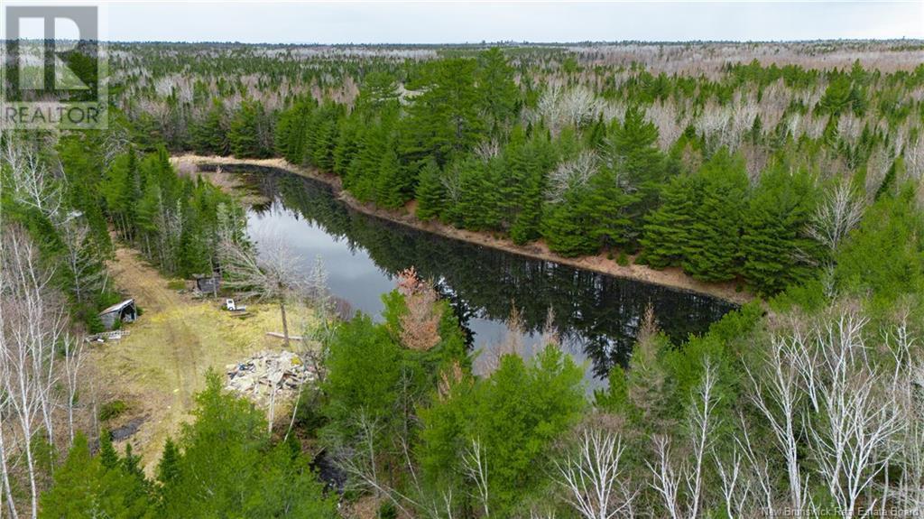 Photo of Listing #NB118316