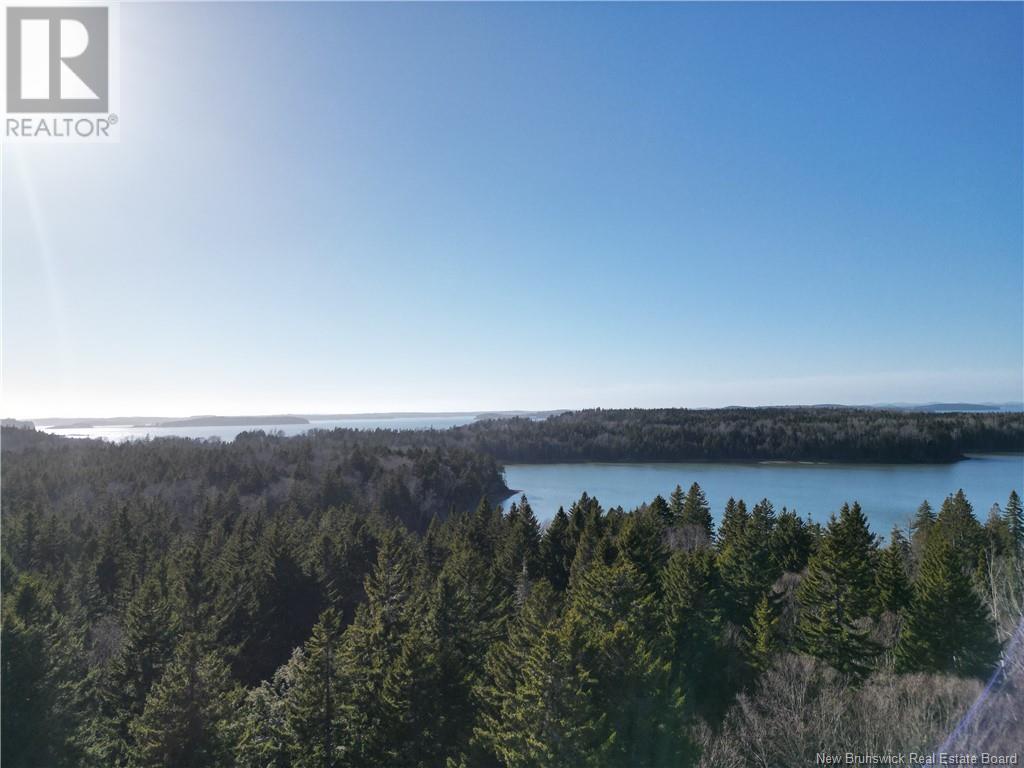 Photo of Listing #NB114785