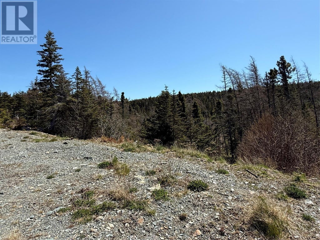 14 Hillview Place Unit#a, South River