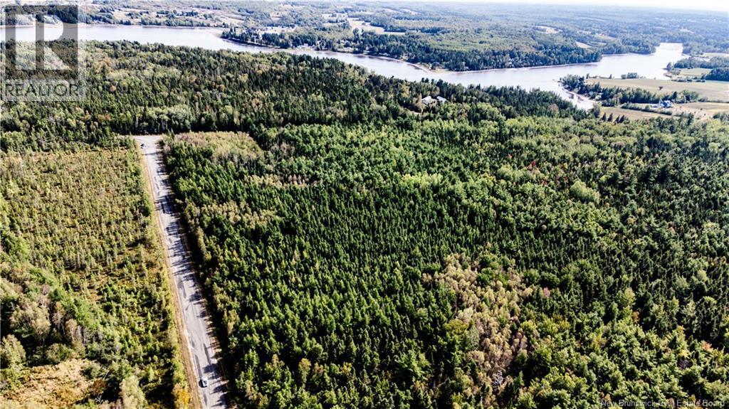 Photo of Listing #NB118197