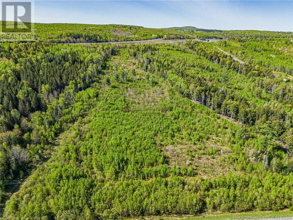 Photo of Listing #NB118480