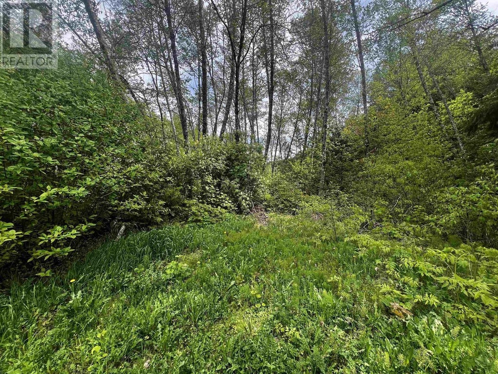 Maple Street, Terrace