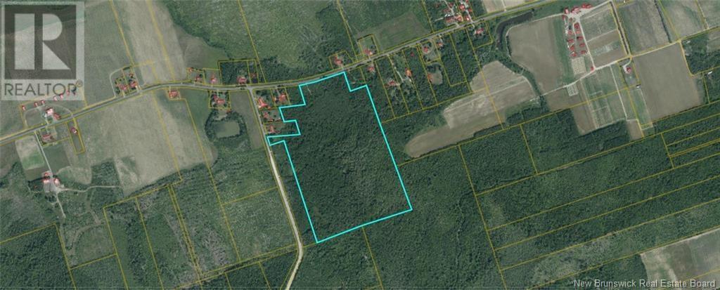 Photo of Listing #NB118565