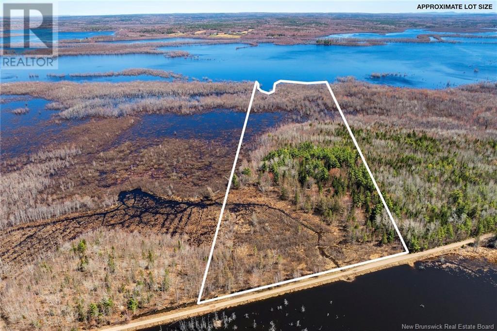 Photo of Listing #NB118628