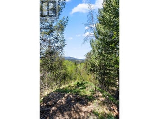 977 Allenby Road. Princeton, British Columbia