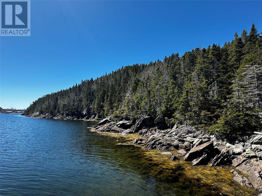 2-24 Park Road, Comfort Cove-Newstead