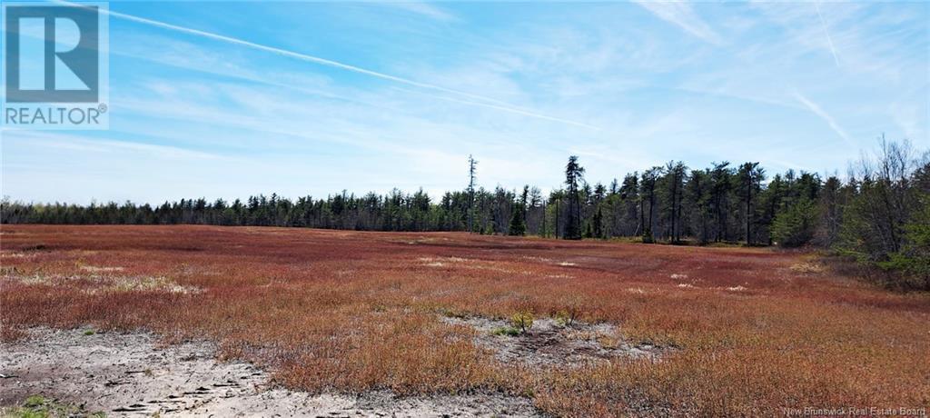 Photo of Listing #NB118422