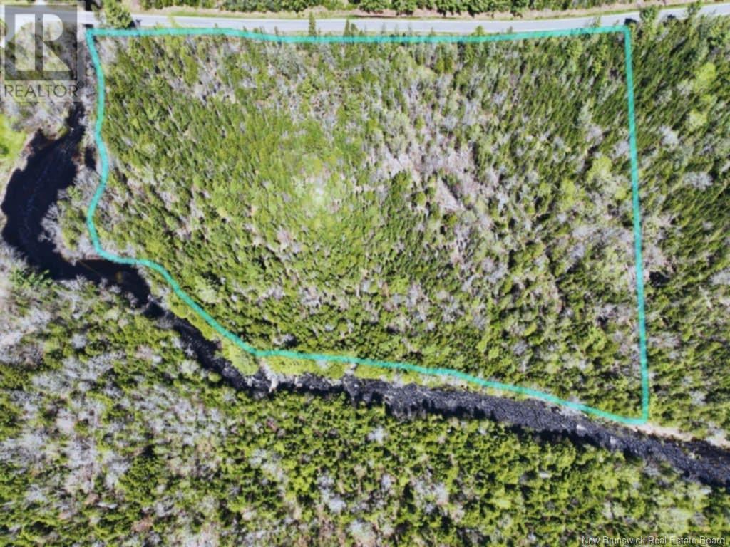 Photo of Listing #NB115797