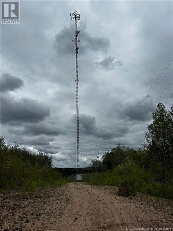 Photo of Listing #NB119100