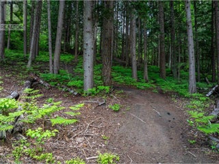 714 Cedar Street. Revelstoke, British Columbia