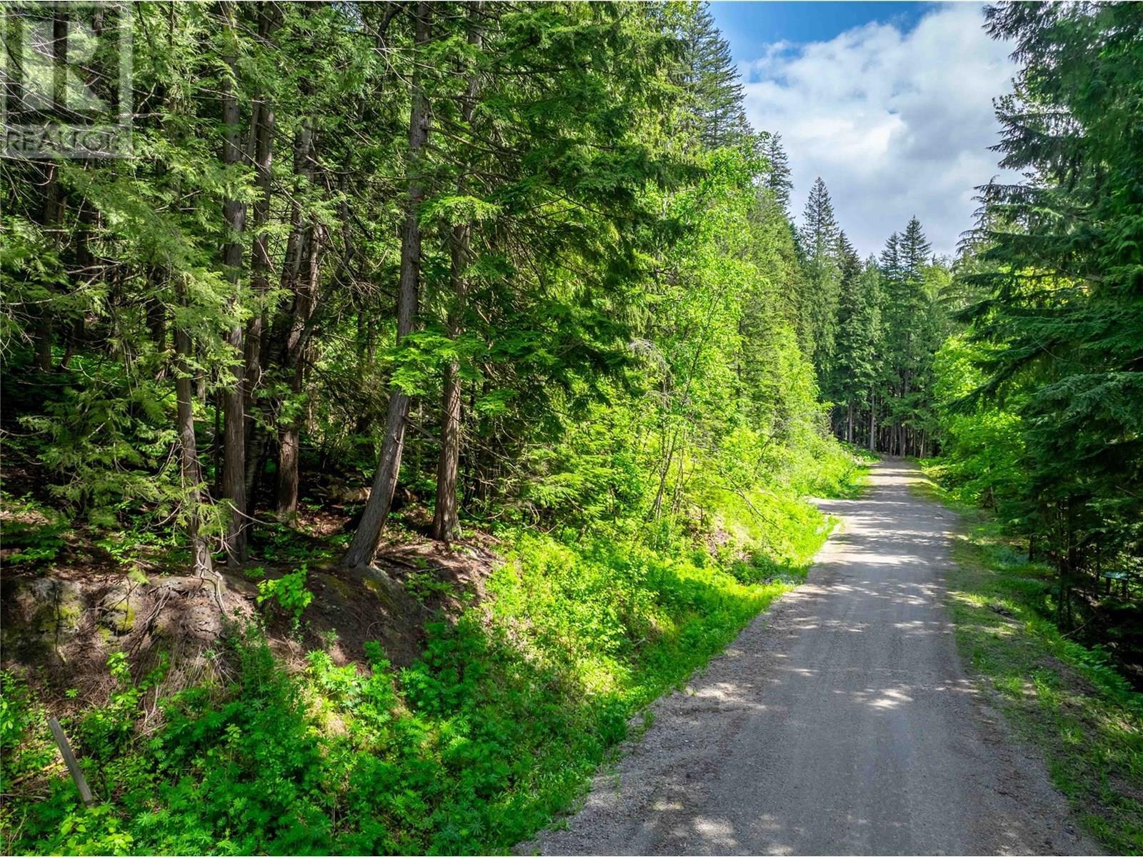 714 Cedar Street. Revelstoke, British Columbia