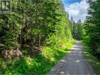 714 Cedar Street. Revelstoke, British Columbia