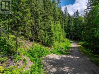 714 Cedar Street. Revelstoke, British Columbia