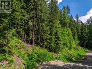 714 Cedar Street. Revelstoke, British Columbia