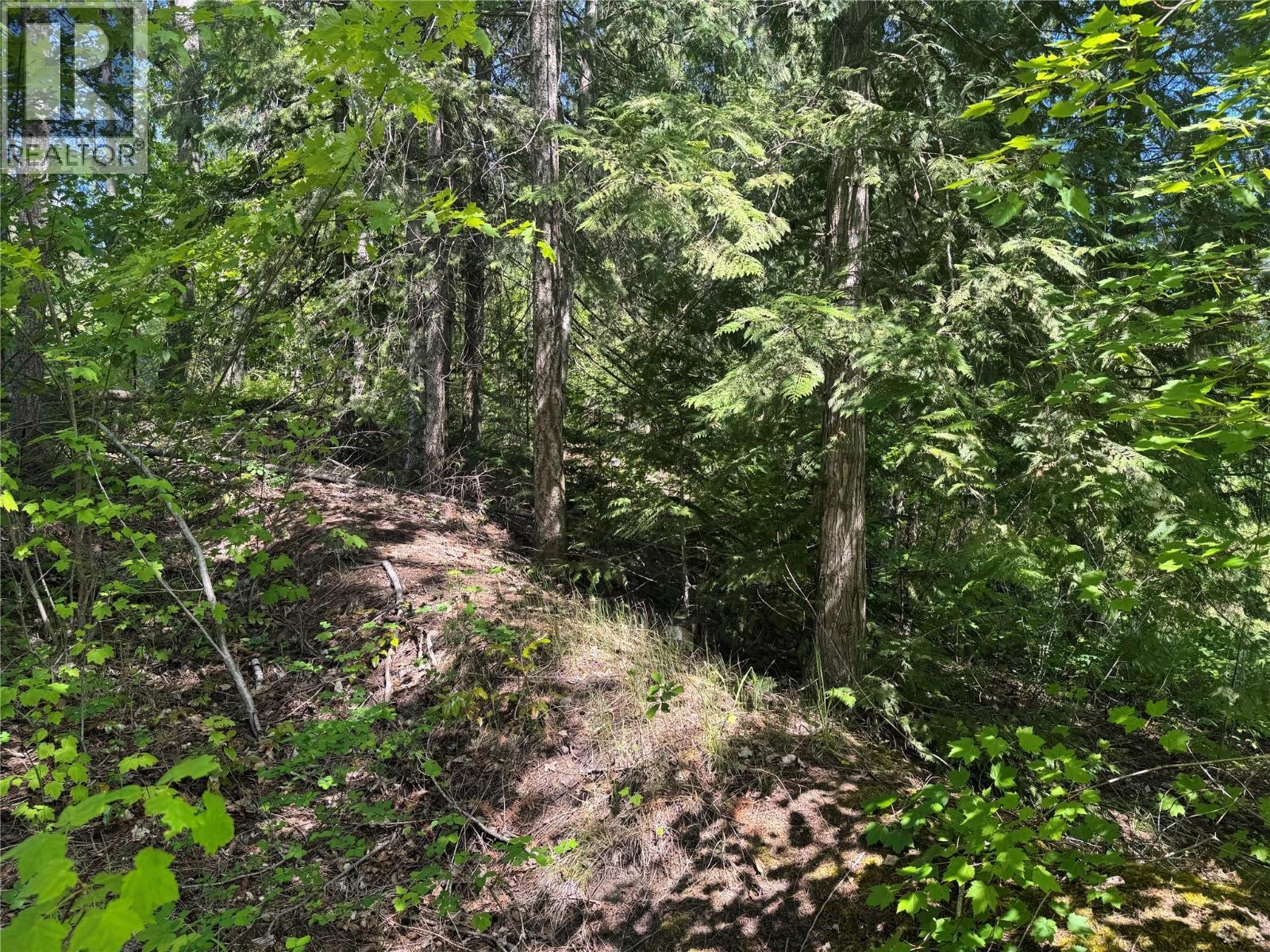 4981 5 Avenue Sw. Salmon Arm, British Columbia