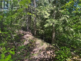 4981 5 Avenue Sw. Salmon Arm, British Columbia