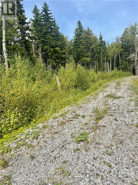 Photo of Listing #NB119124