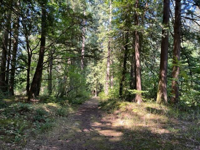 15 19743 Foster Road|hope, Hope