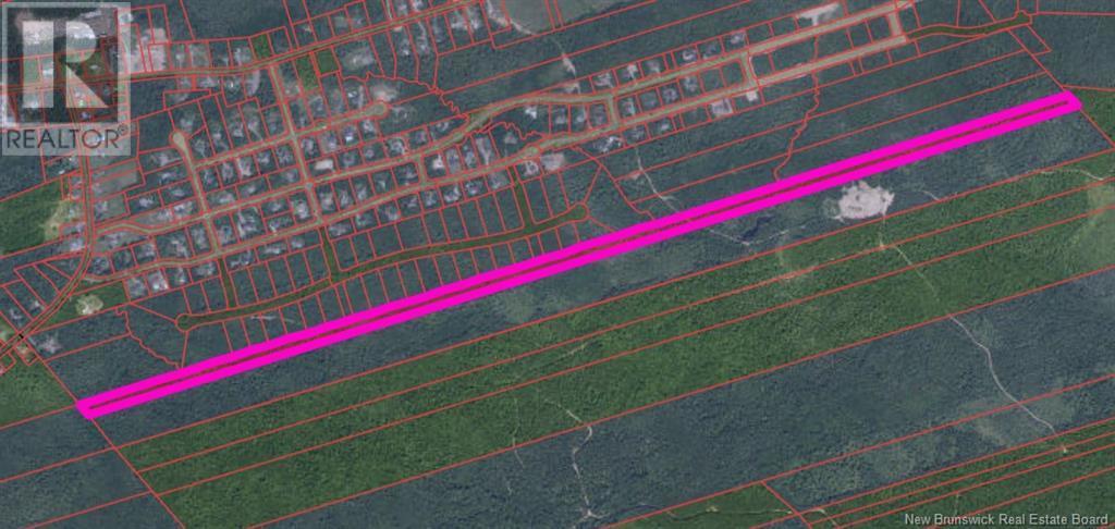 Photo of Listing #NB119084