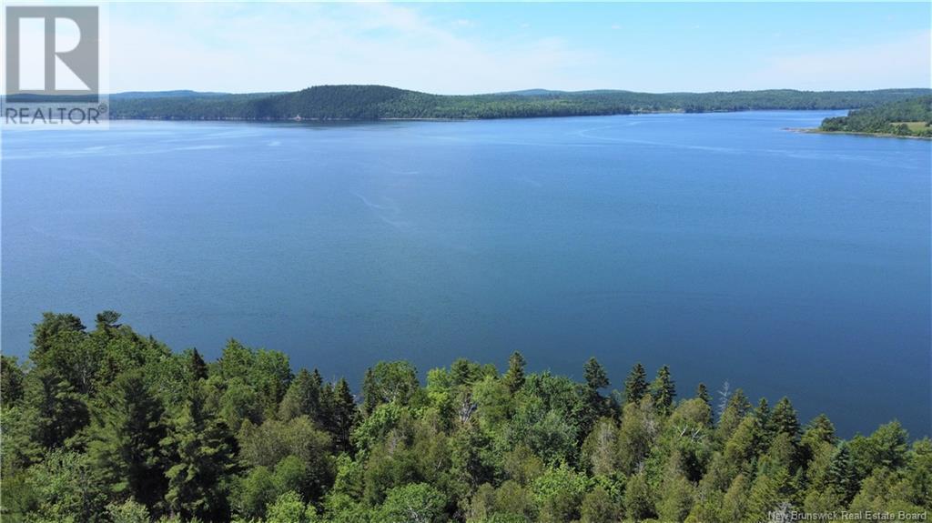 Photo of Listing #NB119129