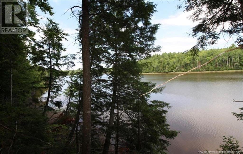 Photo of Listing #NB119267