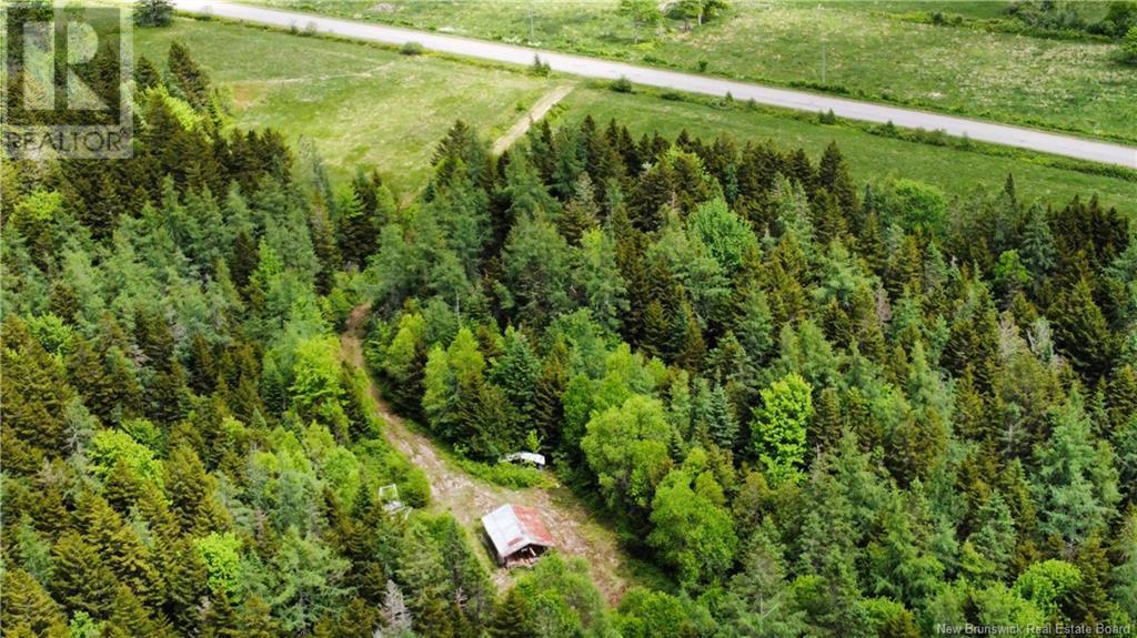 Photo of Listing #NB119405