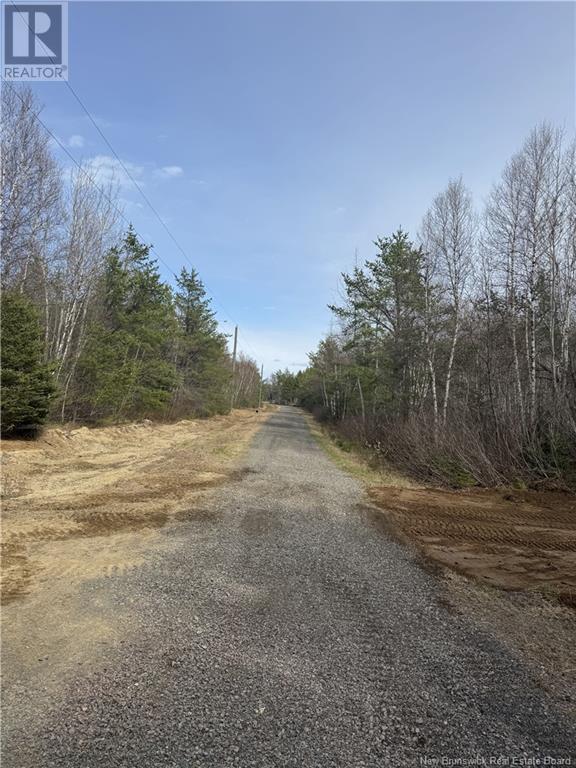 Photo of Listing #NB119356