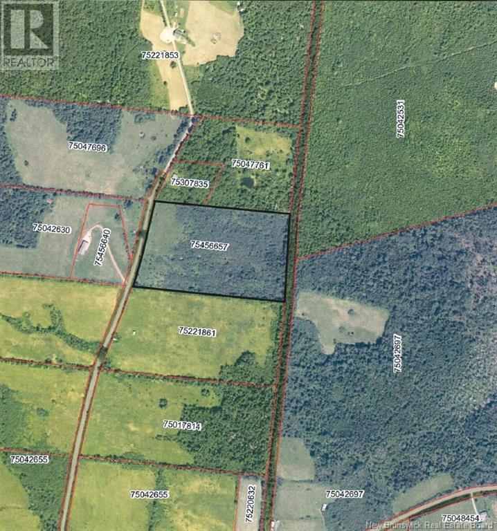 Photo of Listing #NB119499