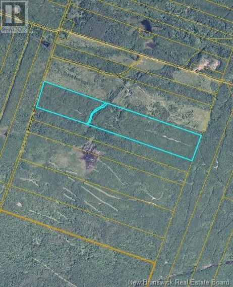 Photo of Listing #NB119519