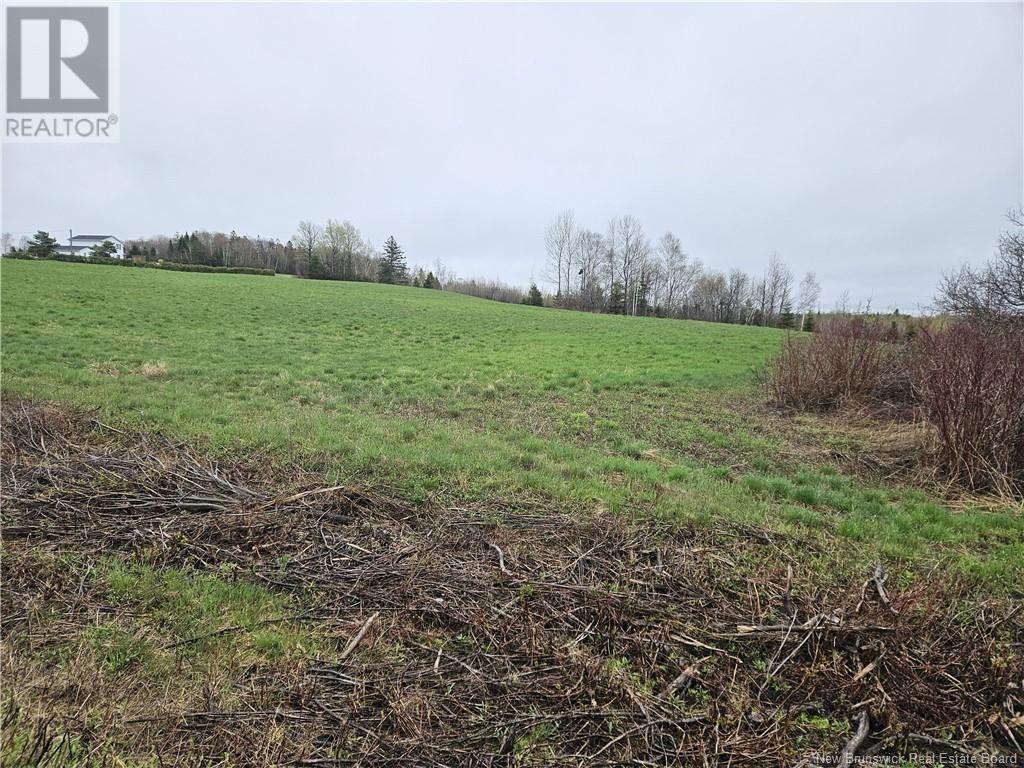 Photo of Listing #NB118905