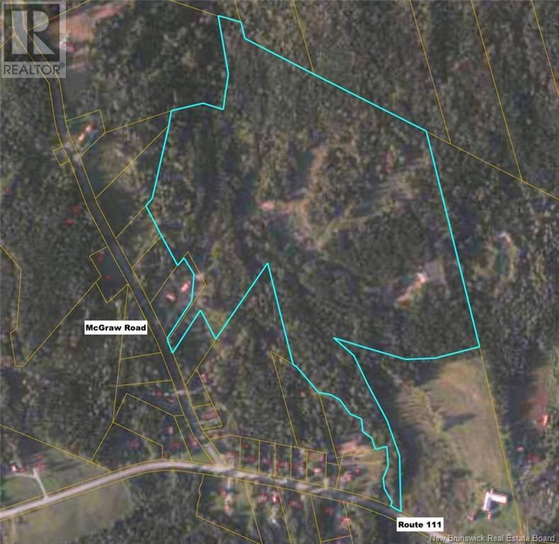 Photo of Listing #NB119613