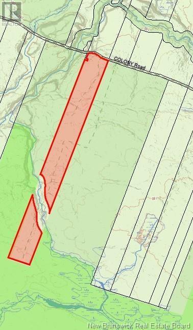 Photo of Listing #NB119891