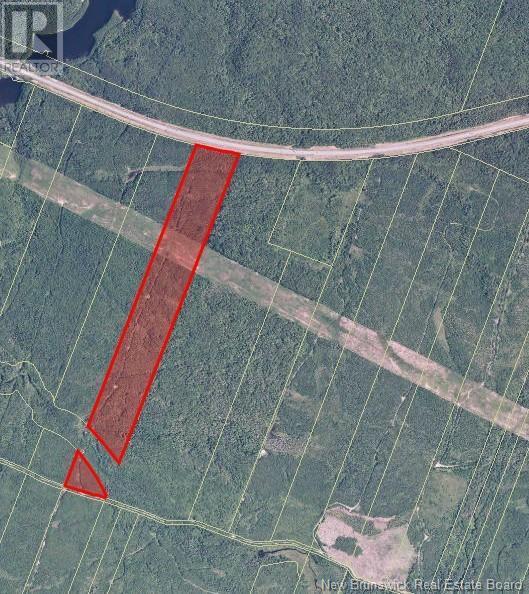 Photo of Listing #NB119911
